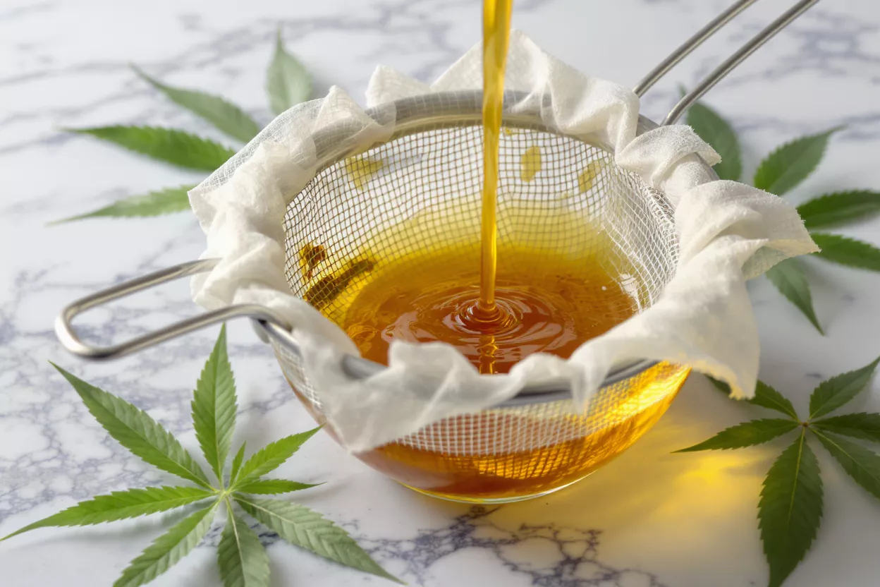 Golden cannabis oil being strained through a sieve lined with cheesecloth, with cannabis leaves.