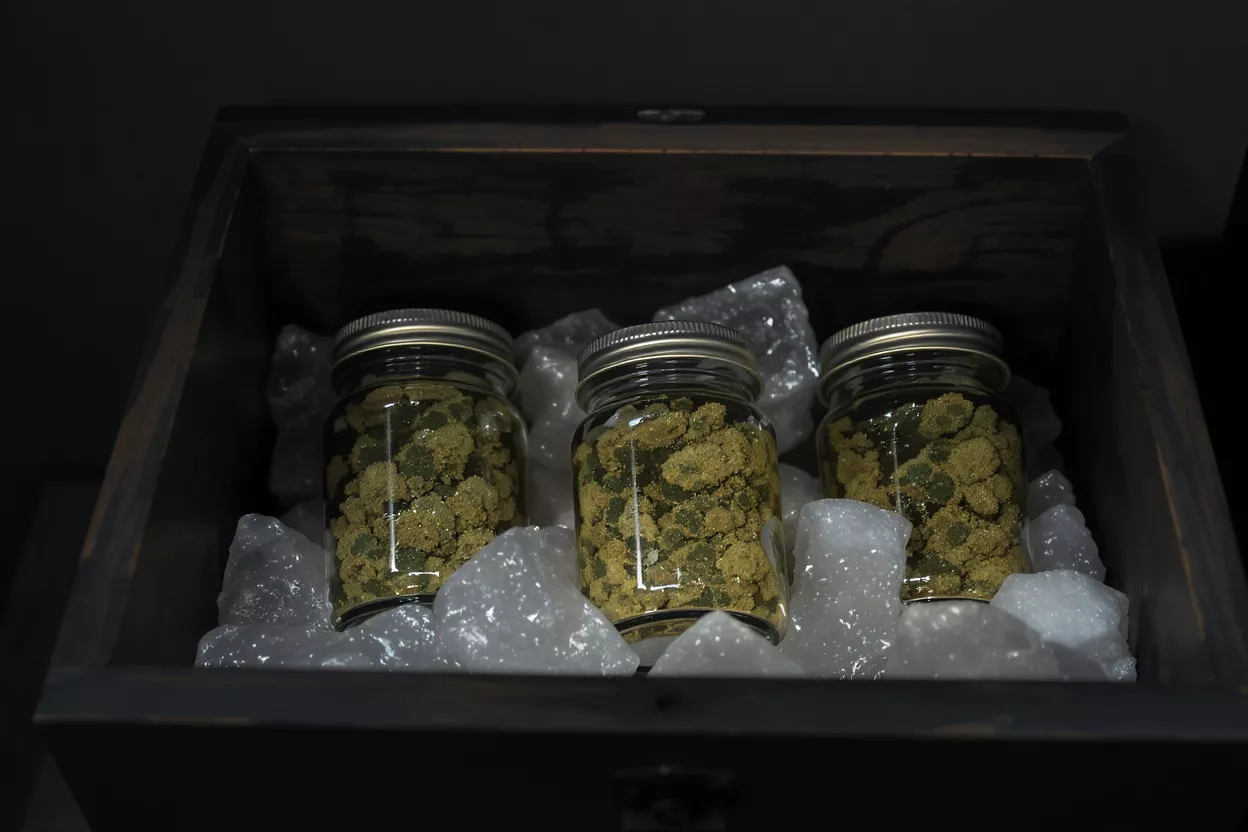 Three glass jars filled with cannabis buds, nestled in bubble wrap inside a wooden box.