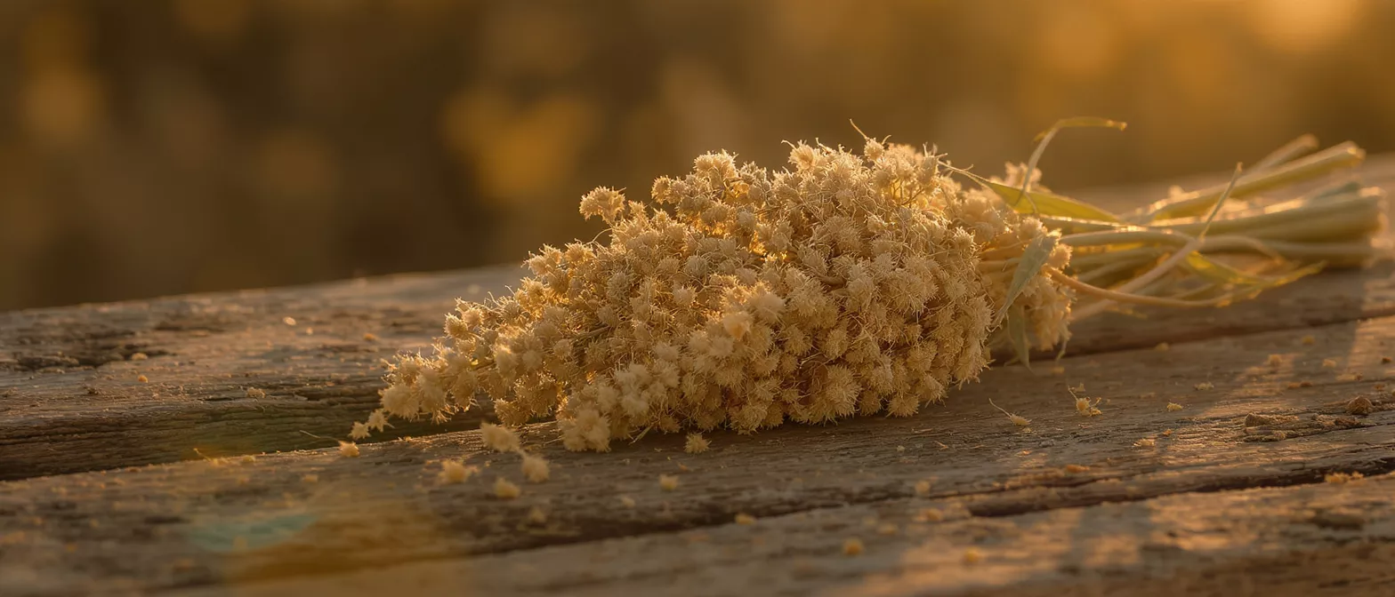 A bouquet of dried flowers resting on wood