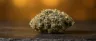 Candyland cannabis strain dense green buds with trichomes