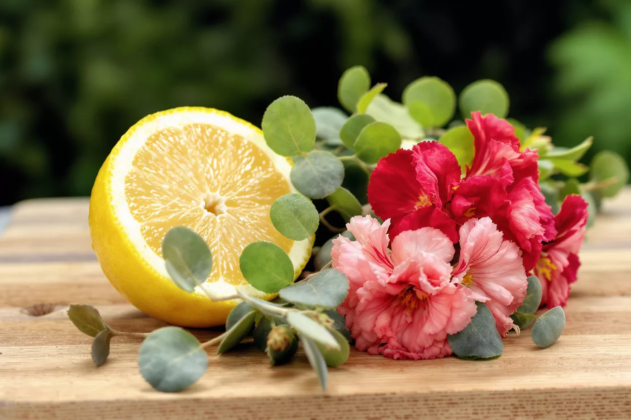 Arrangement de Citron et de Fleurs Un demi-citron, des fleurs roses et rouges, et des feuilles d'eucalyptus sur une surface en bois.