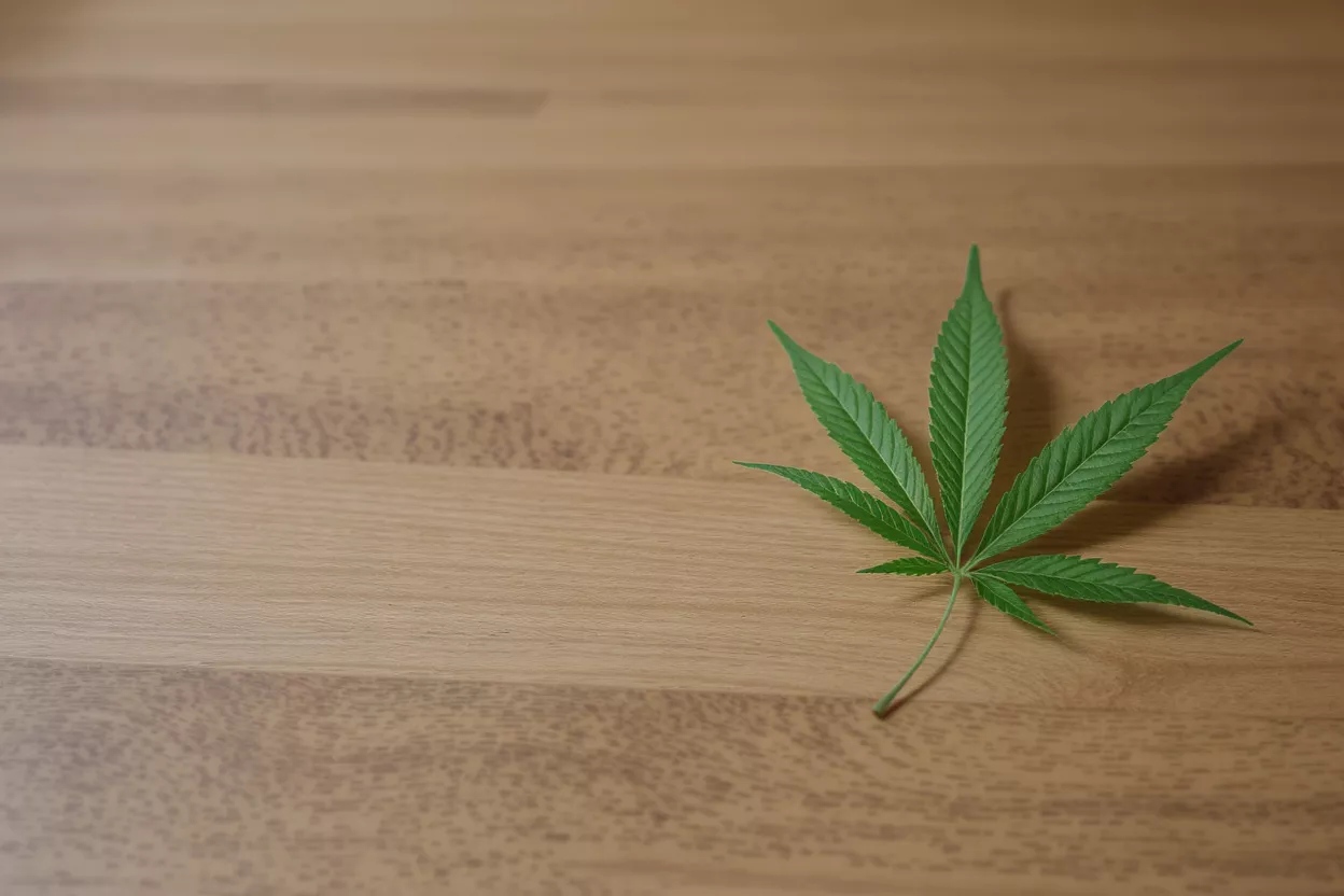 A vibrant green cannabis leaf rests on a light brown wooden surface.
