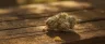 Delta-9 THC cannabis molecule and premium products