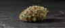 Gelato 33 cannabis buds close up