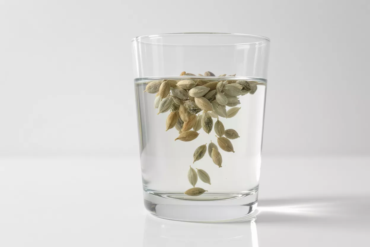 Green cardamom pods floating and sinking in a clear glass of water.