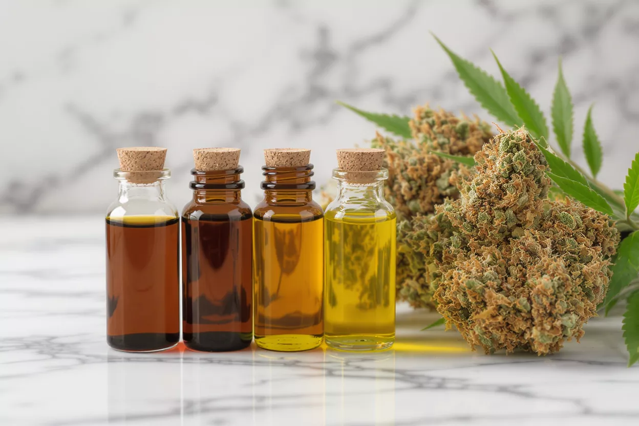 Four small bottles of CBD oil with corks, next to dried cannabis buds and leaves.
