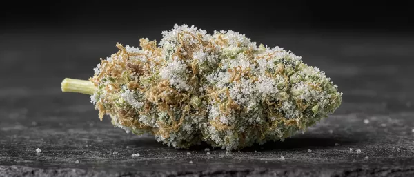 Strains
