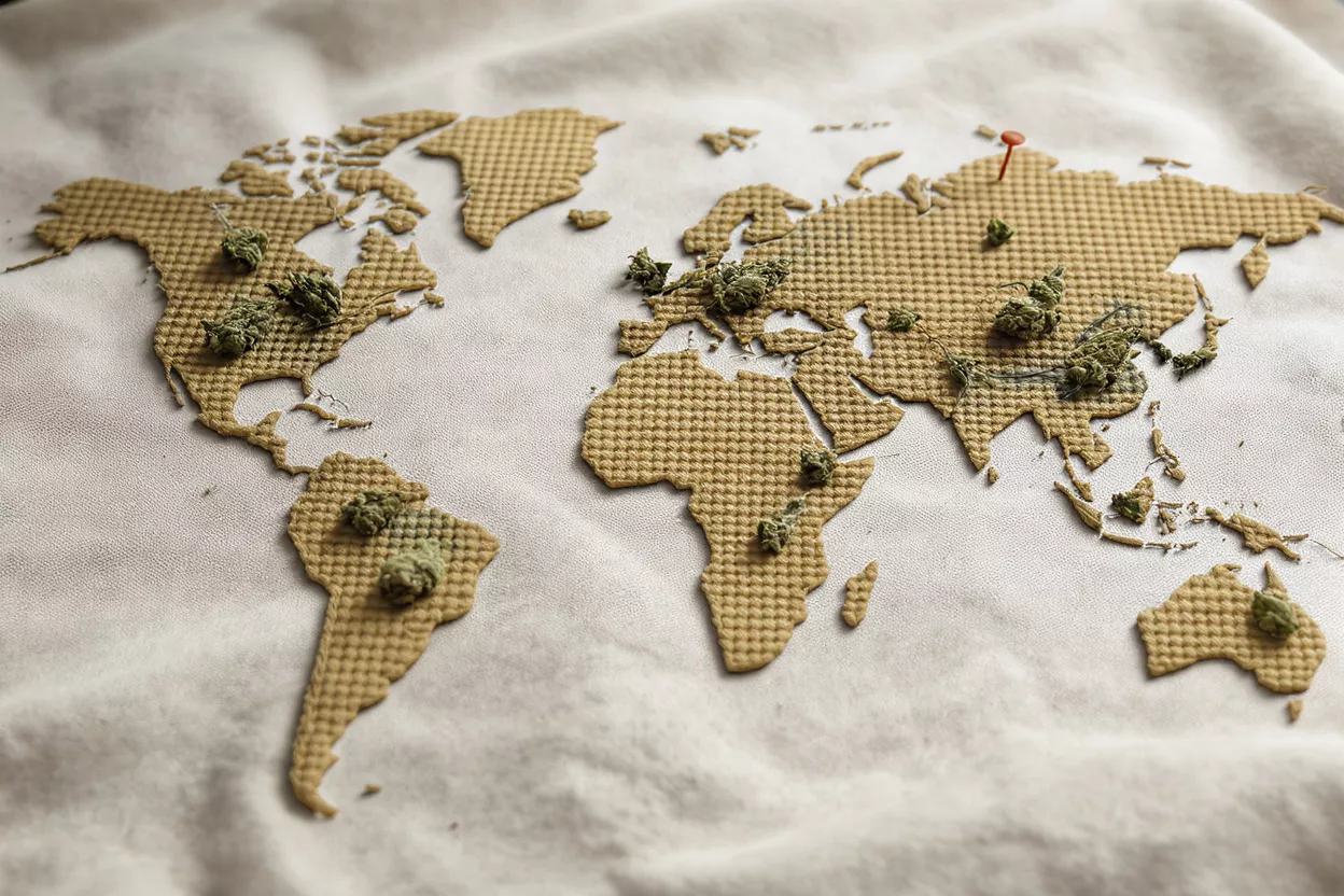 World map made of textured material with cannabis buds on various continents.