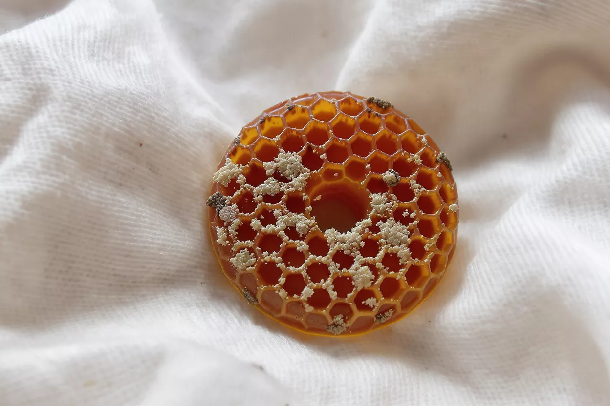 A close-up of a honeycomb-patterned donut with a sugar-like topping.