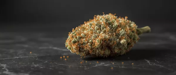 Strains
