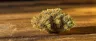 Close-up of Pineapple Haze weed buds with trichomes