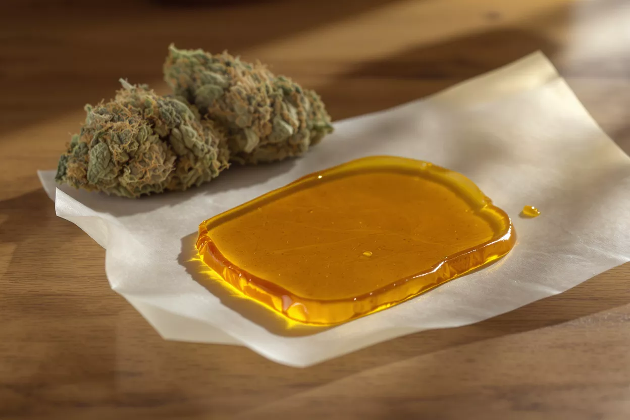 Boutons de Cannabis et Shatter Deux boutons de cannabis et une plaque dorée et translucide de shatter sur du papier parchemin.