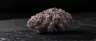 Slurricane cannabis buds close-up