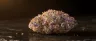 Truffle Butter cannabis strain premium flower buds