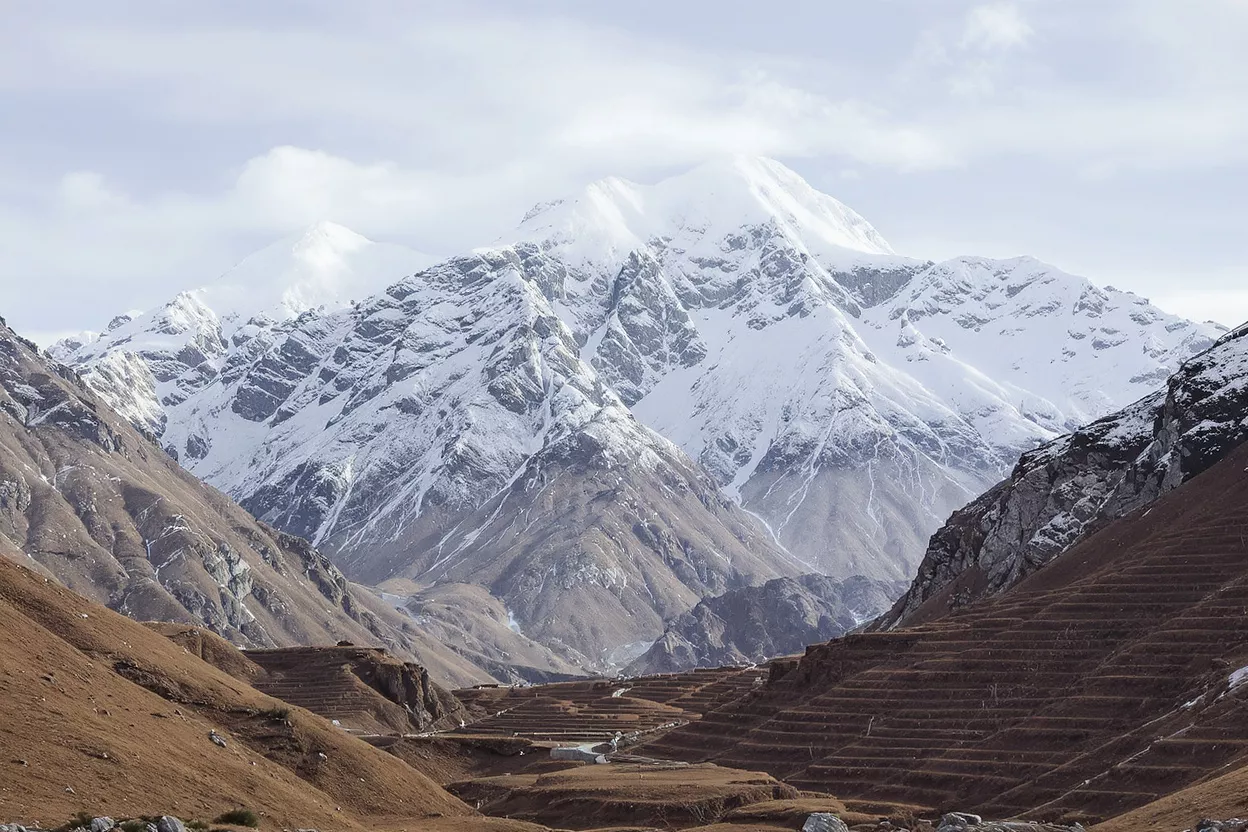 Snow-capped Himalayan peaks towering over brown terraced fields under a cloudy sky.
