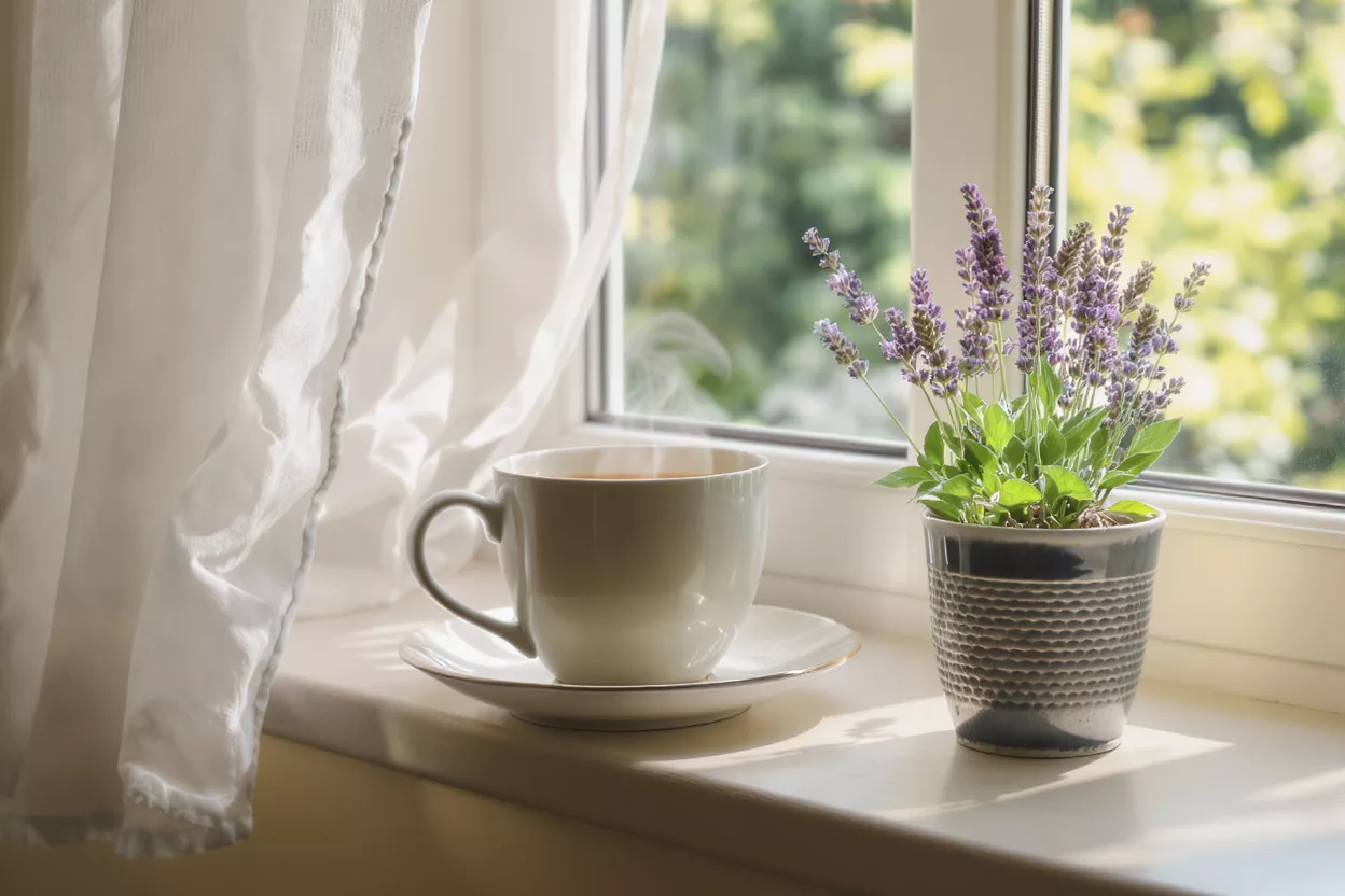 Steaming coffee cup and lavender plant on a sunlit windowsill with white curtains.