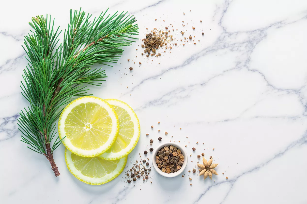 Pine branch, lemon slices, and spices on a white marble background.