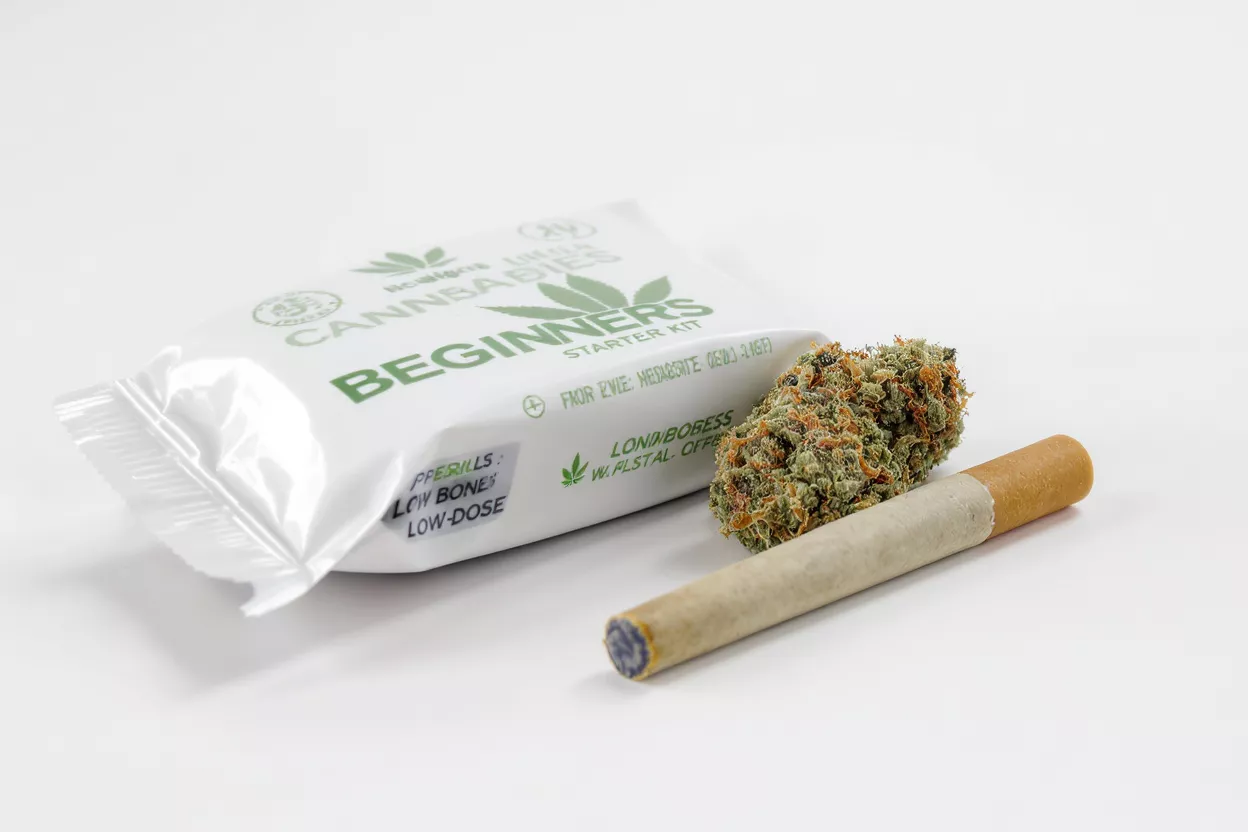 Cannabis starter kit with bud and pre-roll on a white background.