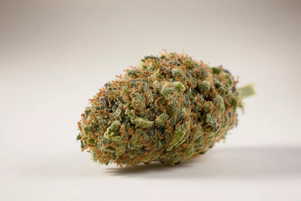 Primer plan de una flor de cannabis Vista detallada de una flor de cannabis con colores vibrantes
