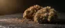Dense resin-coated 8 Ball Kush indica cannabis buds