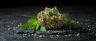 Kush Mints cannabis buds covered in trichomes