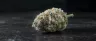 Close-up of Animal Mints cannabis buds covered in trichomes