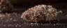 Zoap strain cannabis buds with purple hues and trichomes