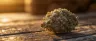 Rainbow Sherbet cannabis strain buds close-up