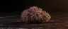 Gelato 41 cannabis buds close-up