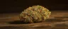 Donny Burger cannabis strain dense trichome buds