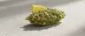 Gelonade cannabis strain dense green buds close-up