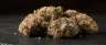 Rainbow Belts cannabis strain dense colourful buds
