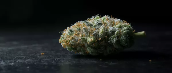 Strains