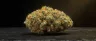 Bruce Banner cannabis strain dense resinous buds