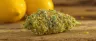 Lemon Skunk cannabis strain close-up buds