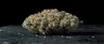 Platinum OG cannabis buds covered in trichomes