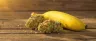 Banana OG cannabis buds close-up