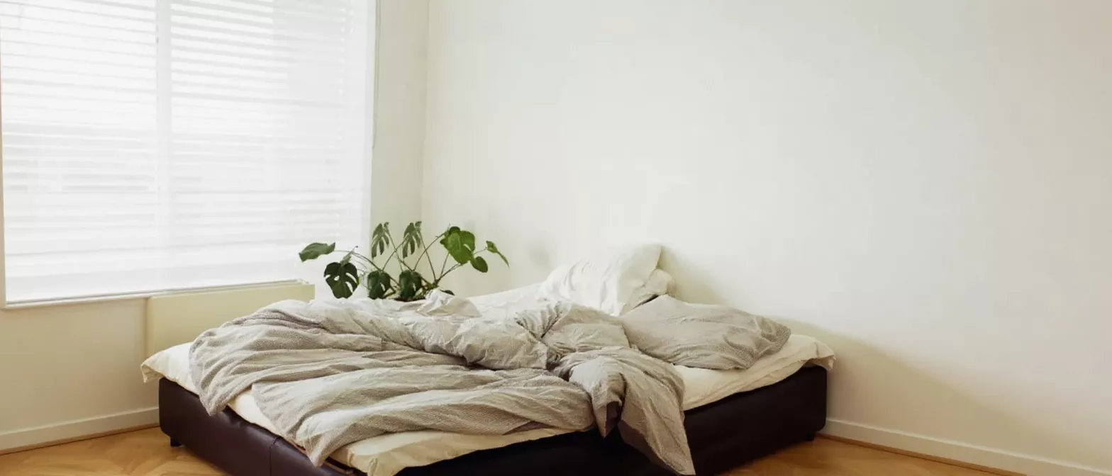 An unmade bed with a plant next to a window with blinds in a minimalist bedroom.