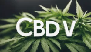 CBDV