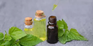 What Are the Main Uses of CBD Oil Products? A Comprehensive Guide 2025