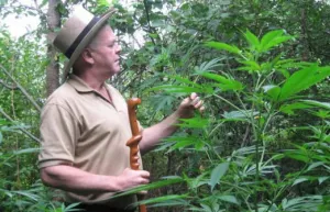 How Can Rick Simpson Oil Effectively Treat Cancer Symptoms 2025?