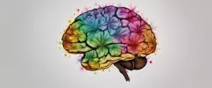 Endocannabinoid