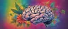 CB2 receptor illustration showing immune cell activation