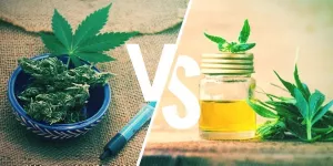 Rick Simpson Oil vs. CBD Oil 2025: A Detailed Comparison Guide