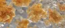 Clear THCA diamond crystals in cannabis concentrate