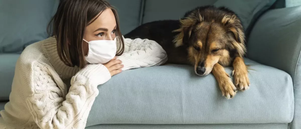 CBD lockdown tips for anxiety and stress relief