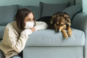What Are Some CBD Lockdown Tips to Avoid Anxiety and Stress 2025?