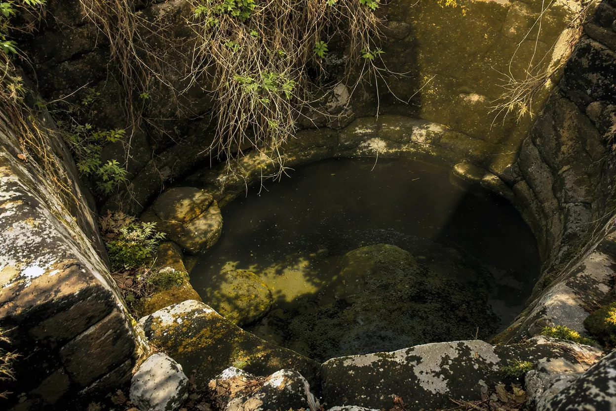 Ancient Stone Well with Green Water An old stone well with dark green water and mossy rocks, surrounded by vines.