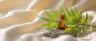CBD infused face oil dropper bottle on natural background