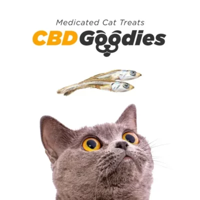 British Shorthair cat eyes fish-flavored Medicated CBD Goggies Cat Treats in promo graphic.